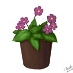 Flowers colored
